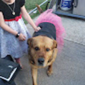 Meet your Posher, Jen